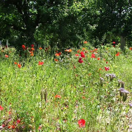 Gaestehaus Am Wangeliner Garten Appartement