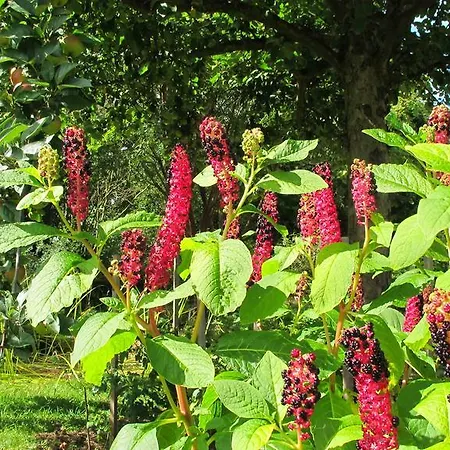 Gaestehaus Am Wangeliner Garten Appartement