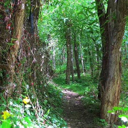 Gaestehaus Am Wangeliner Garten Appartement *